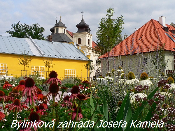 Bylinková zahrada Žireč, Dvůr Králové nad Labem - fotografie, adresa, otevírací doba, informace (Domov sv. Josefa)