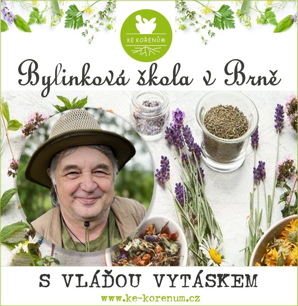 Bylinkova skola Vlada Vytasek ke korenum Brno 2024