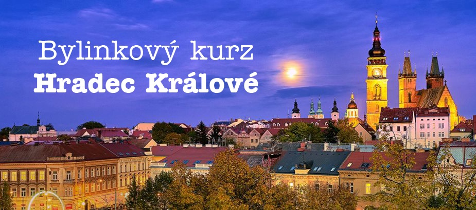 Bylinkový kurz Hradec Králové 2020