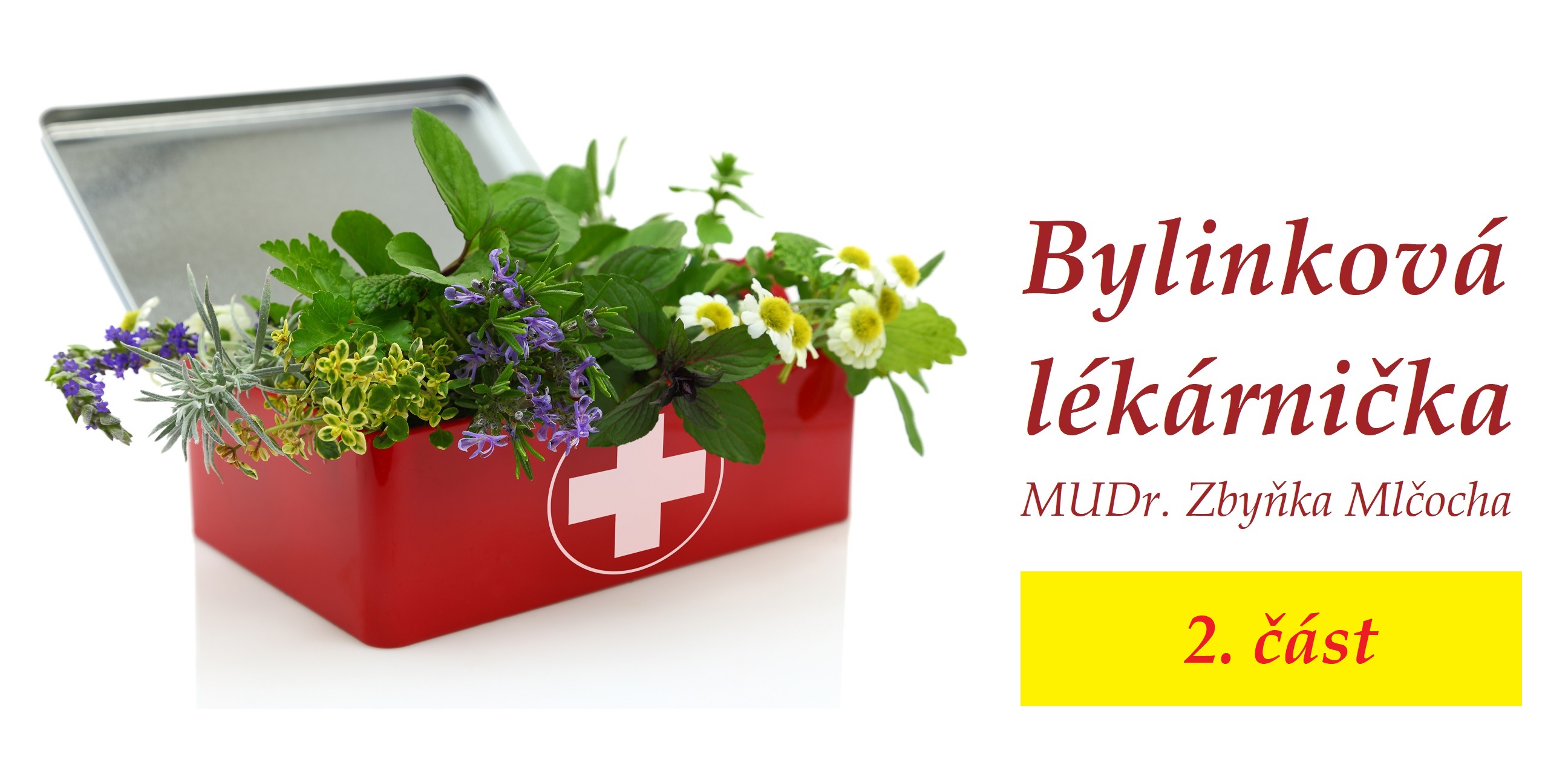Seminář Bylinková lékárnička MUDr. Zbyňka Mlčocha 2. část