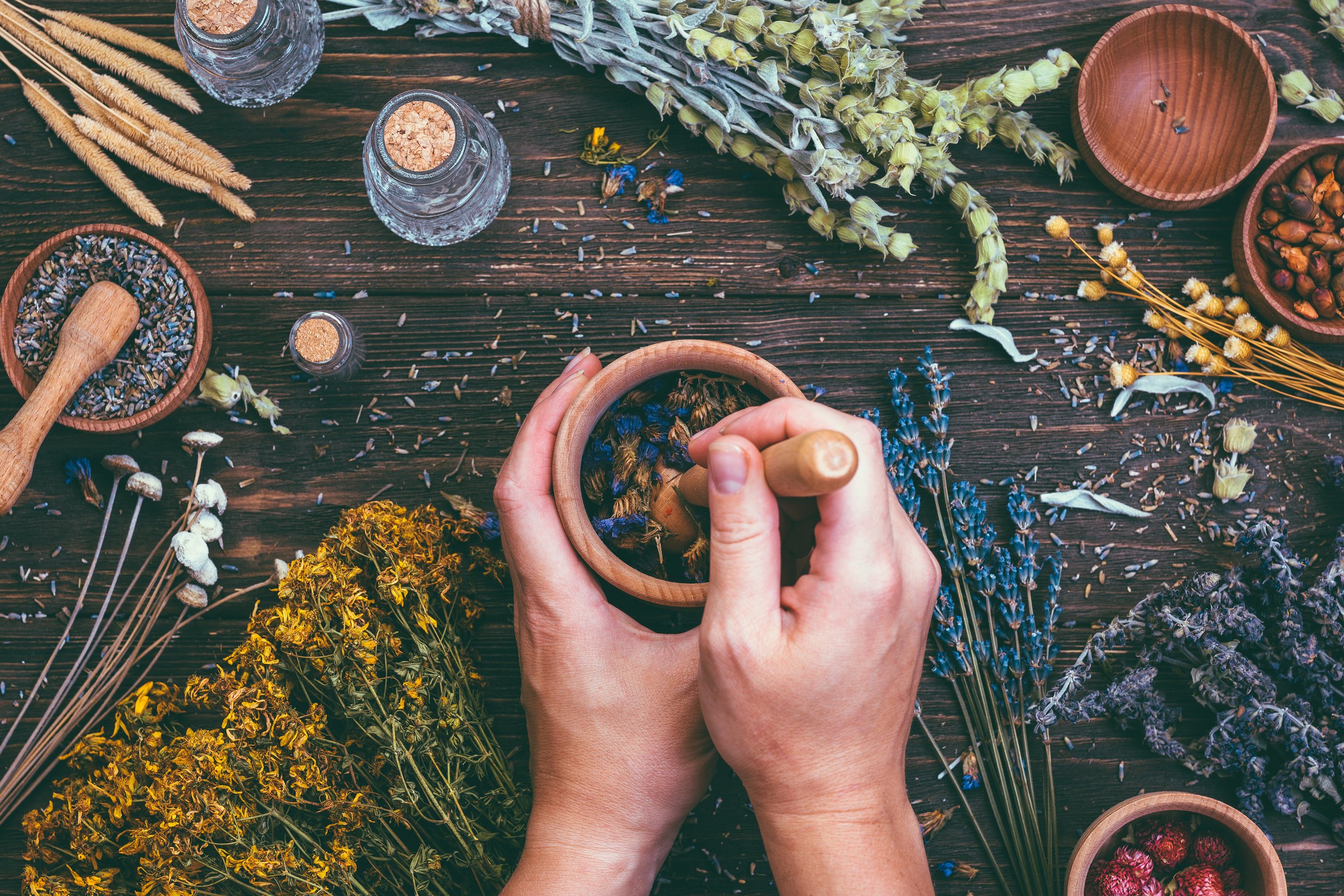 Bylinkový kurz POHYBOVÝ SYSTÉM s ukázkou výroby bylinkových produktů, Beroun 18.5.2025