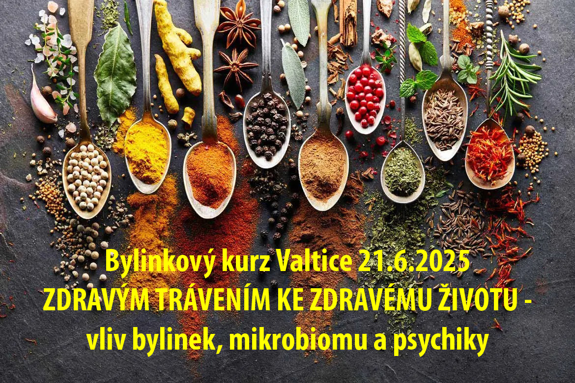 bylinkovy kurz valtice 21 6 2025 zdravym travenim ke zdravemu zivotu vliv bylinek mikrobiomu a psychiky 