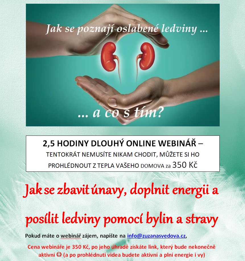 online kurz jak se zbavit unavy doplnit energii a posilit ledviny pomoci bylin a stravy