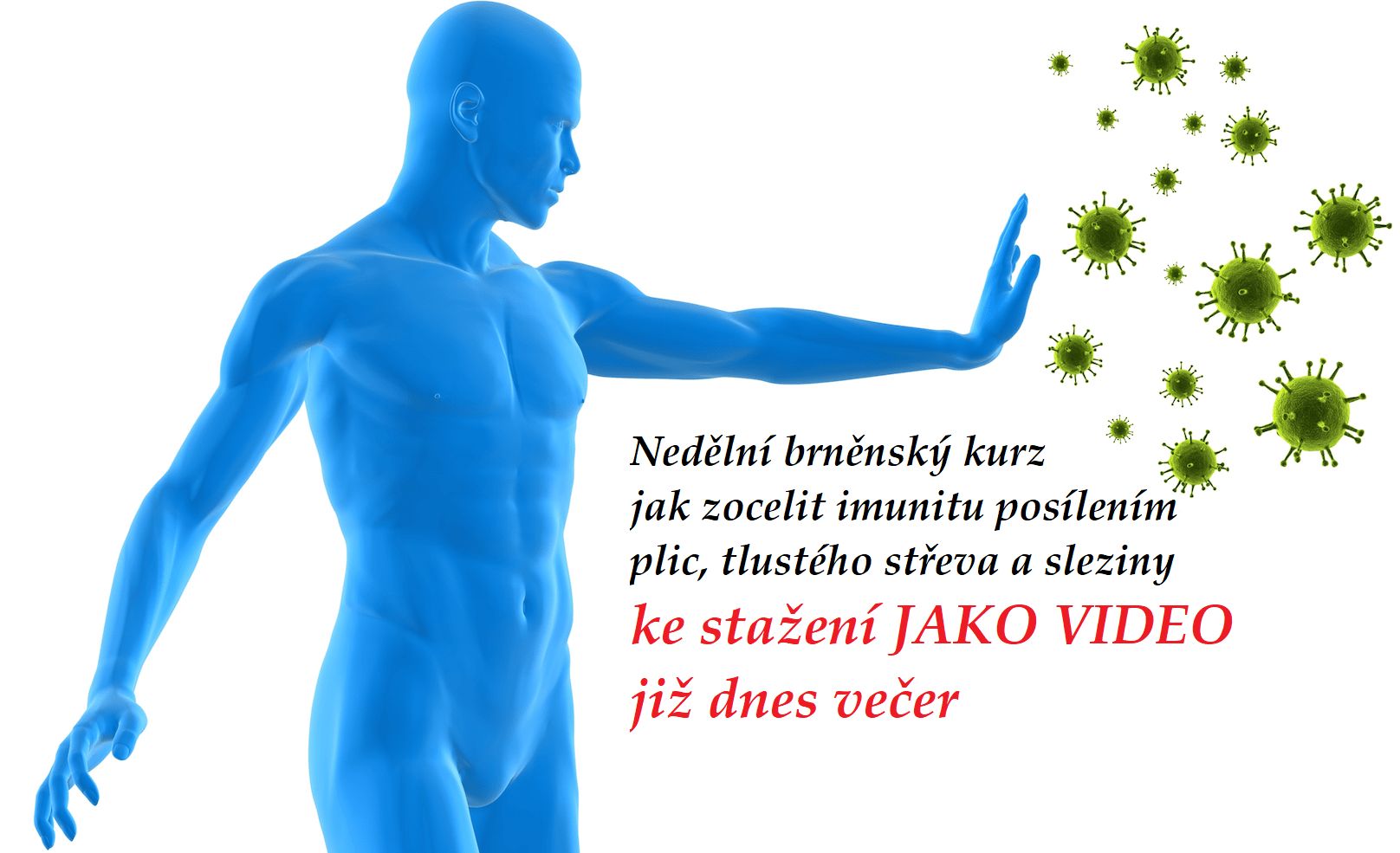 online prednaska jak zocelit imunitu posilenim plic tlusteho streva a sleziny aneb jak byt zdravi nejen na podzim a v zime hlavni