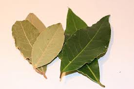 Bobkový list - účinky na zdraví, co léčí, použití, užívání, využití, nežádoucí vedlejší účinky