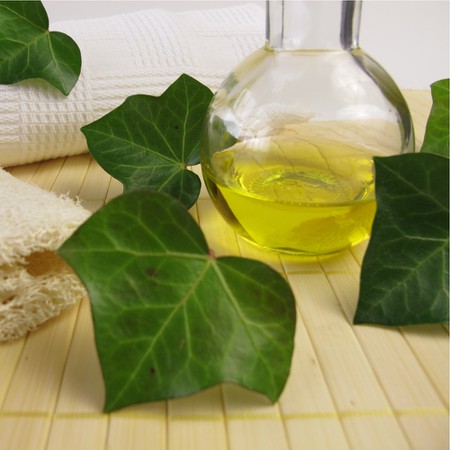 Břečťanový olej (macerát) - recept, postup, návod, výroba, suroviny