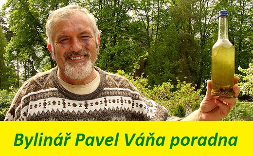 Bylinář Pavel Váňa online poradna - vy se ptáte a bylinkář Pavel odpovídá