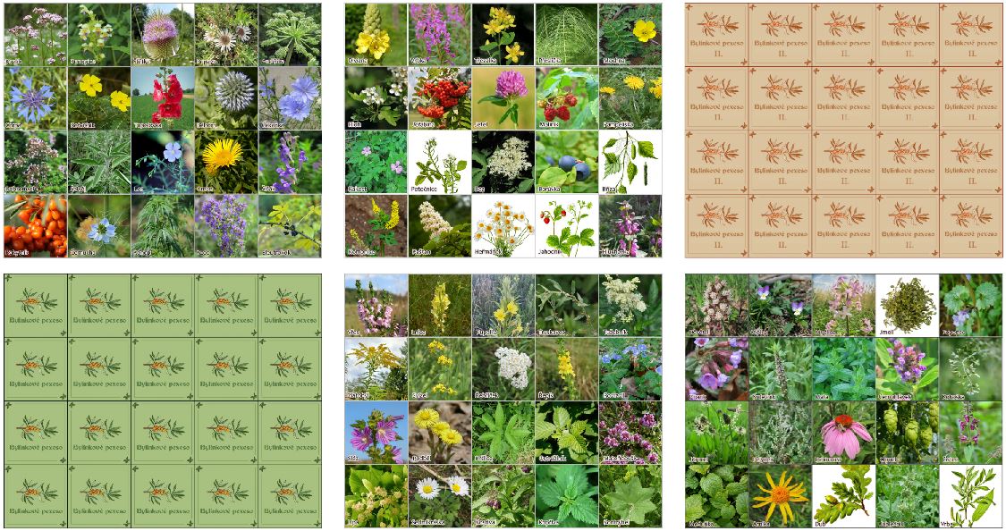 Bylinkové pexeso ke stažení zdarma online PDF soubor