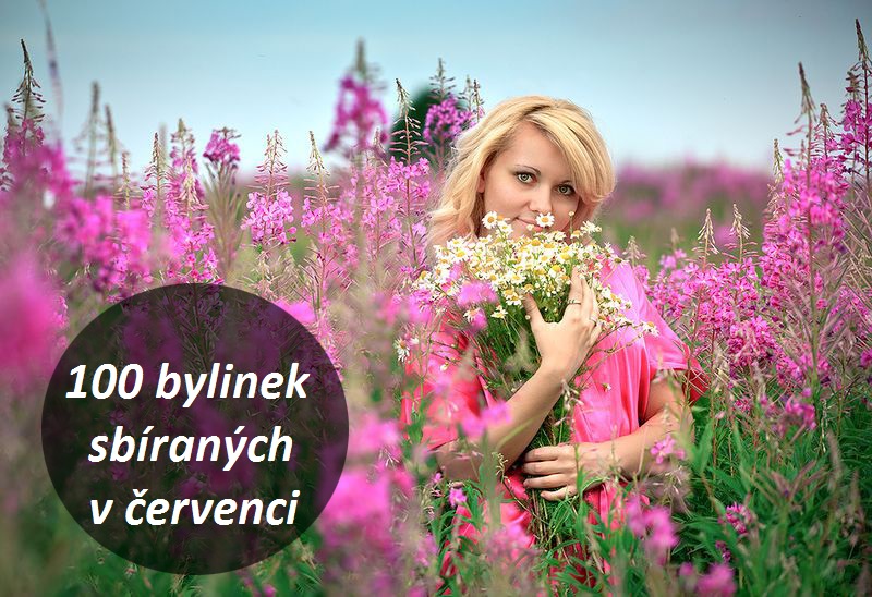 Bylinky červenec - 100 bylin, keřů a stromů sbíraných v červenci