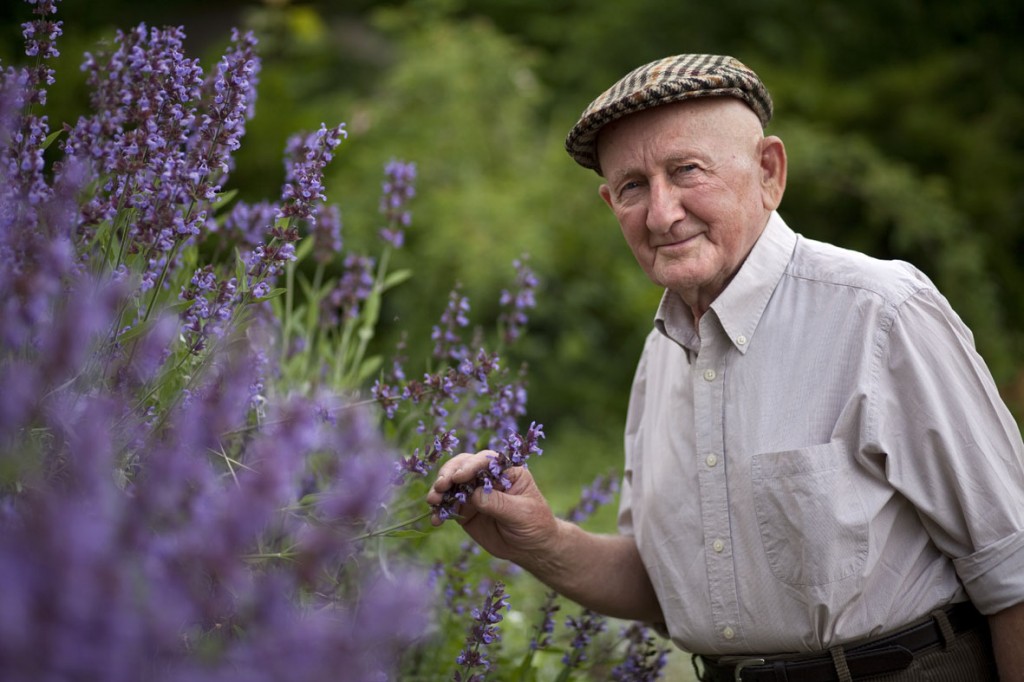 Byliny, bylinky pro dlouhý život, dlouhověkost