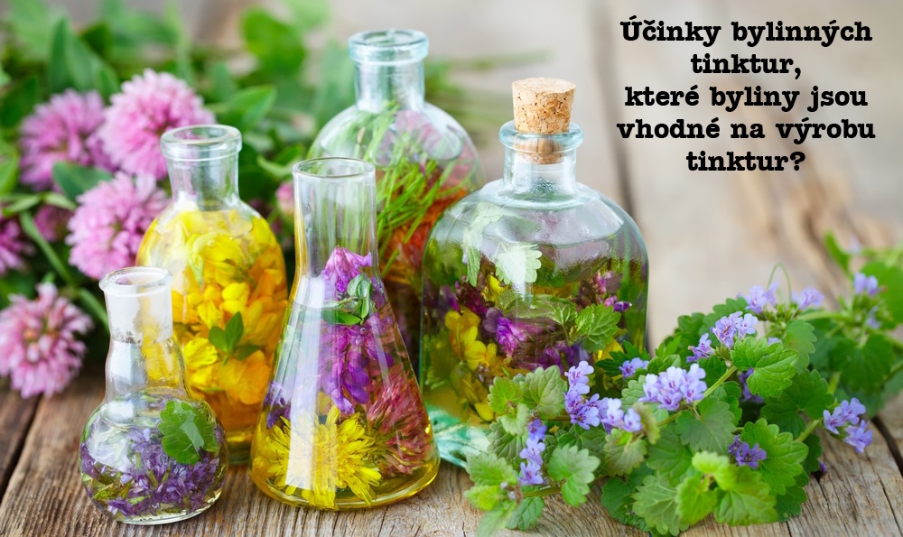 Účinky tinktur z různých bylin, pupenů a léčivých hub, výhody tinktur proti čajům