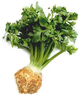 celer mirik celer recepty ucinky vyuziti zdravi