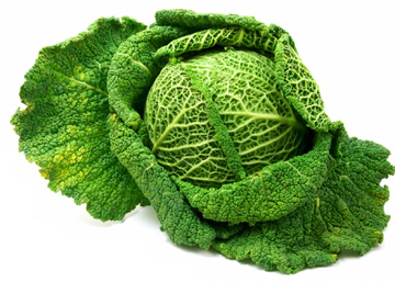 cerstva stava z kapusty kapustove listy obklad ucinky vyuziti