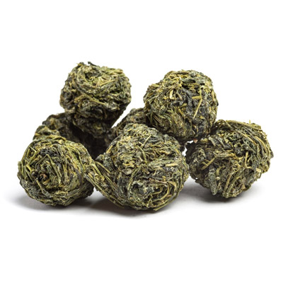 gynostema gunpowder kulicka