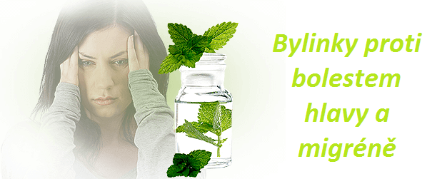 bolesti hlavy migréna byliny bylinky babské rady lidové léčitelství tradiční čínská medicína