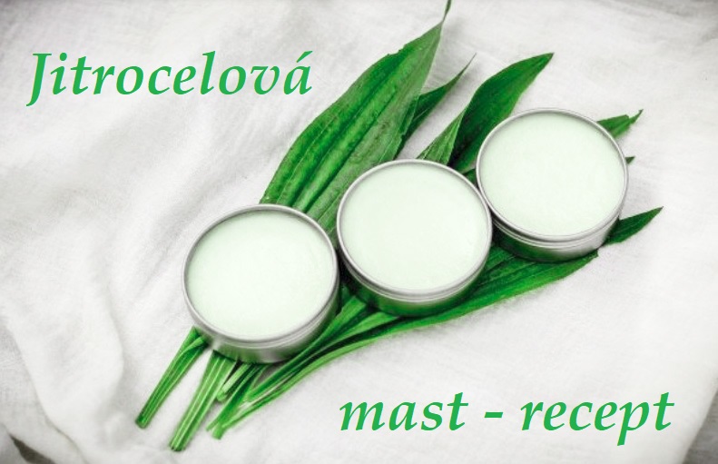 Jitrocelová mast - recept, postup, návod, příprava, suroviny, ingredience
