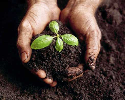 kompost a jicha z bylin zalozeni a urychleni zrani kompostu byliny vhodne kompostovani a vyrobu jichy 3