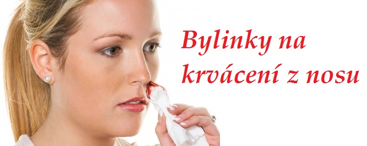 Krvácení z nosu - byliny, bylinky, babské rady, léčba bez léků
