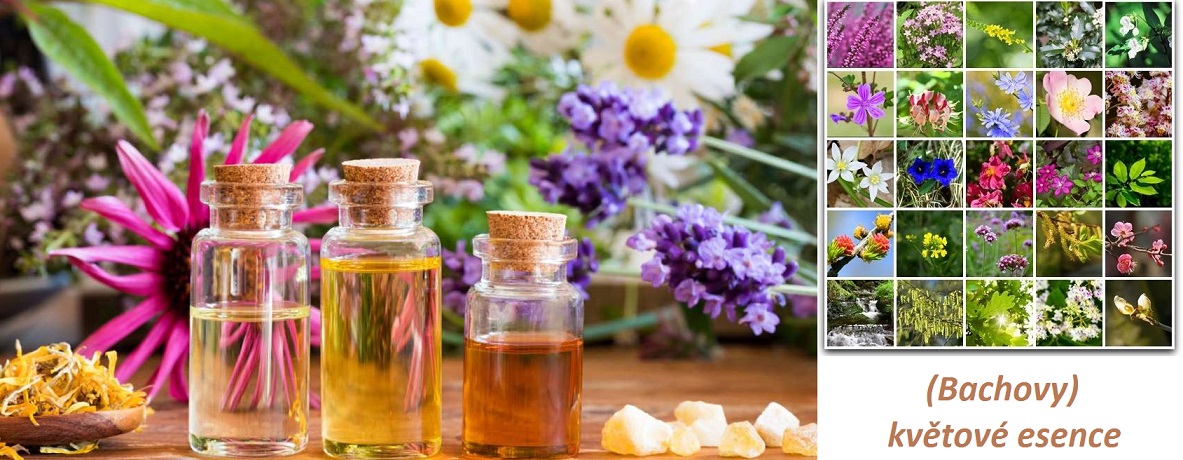 Květové esence - princip účinku, využití pro různé psychické stavy, seznam esencí