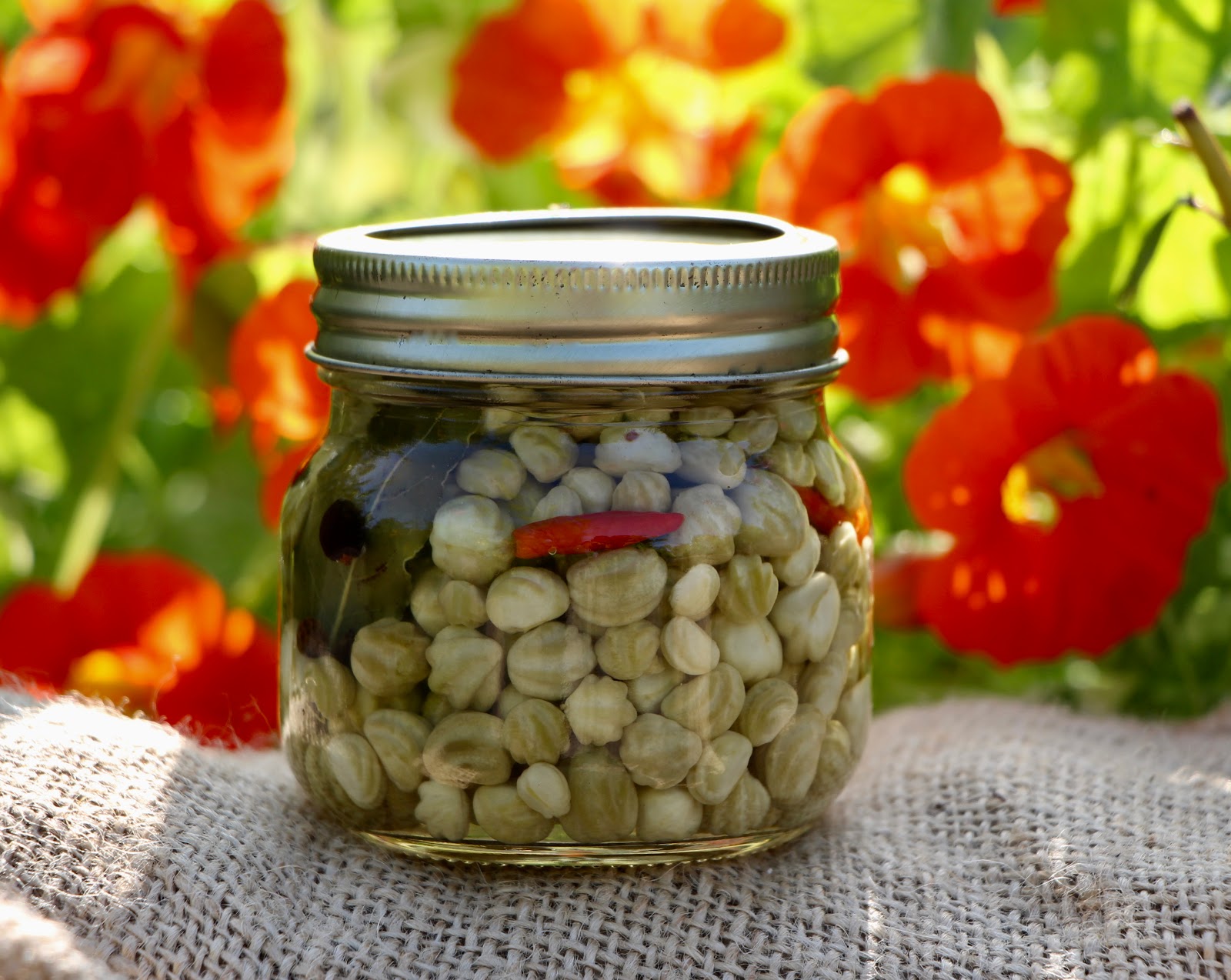 Lichořeřišnicové kapary - recept, postup, návod, suroviny, ingredience