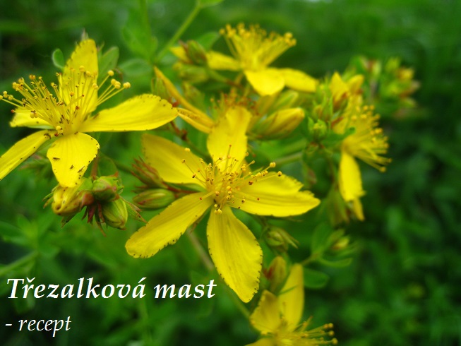 Třezalková mast - recept, postup, návod, příprava, suroviny, ingredience