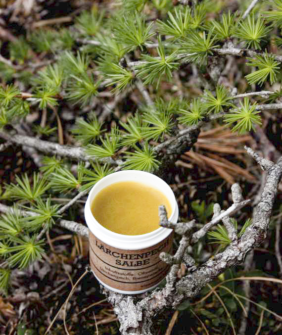 Modřínová mast, mast z modřínové pryskyřice - recept, postup, návod, příprava