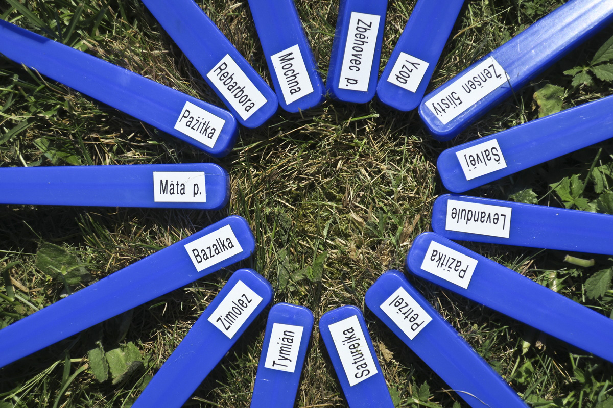 Jak vyrobit nesmazatelné popisky k bylinám, bylinkám na záhonek pomocí štítkovačky