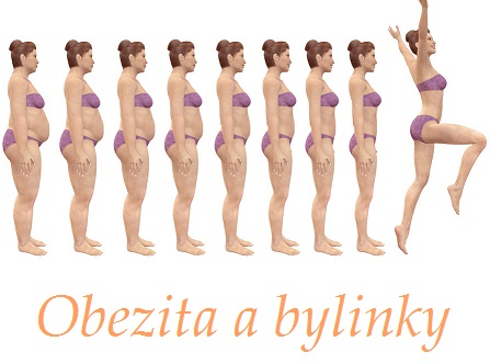 Obezita, nadváha - byliny, bylinky, babské rady, čaje, řežimová opatření a doporučení, koupele
