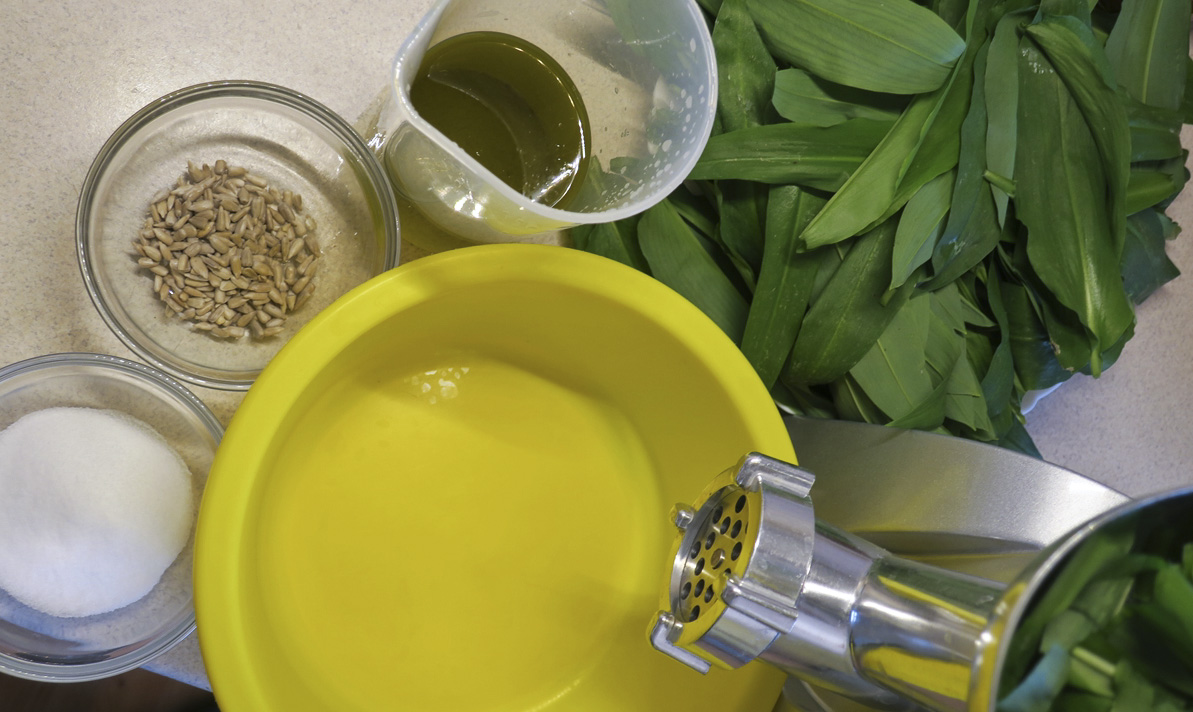 pesto cesnek medvedi recept postup navod priprava suroviny ingredience