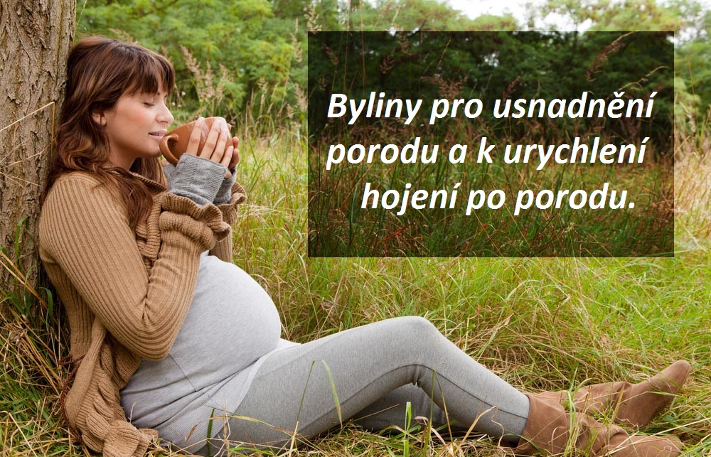 Příprava na porod - byliny, bylinky, vyvolání porodu bylinami, bylinkami