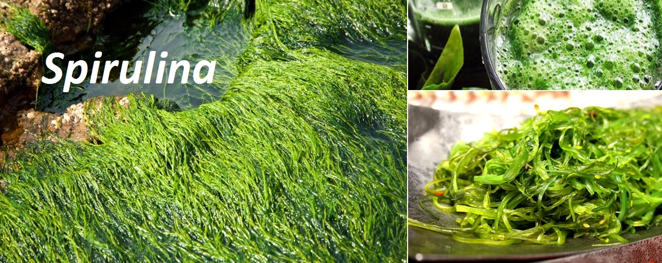 Řasa spirulina - účinky na zdraví, použití, užívání, využití, co léčí