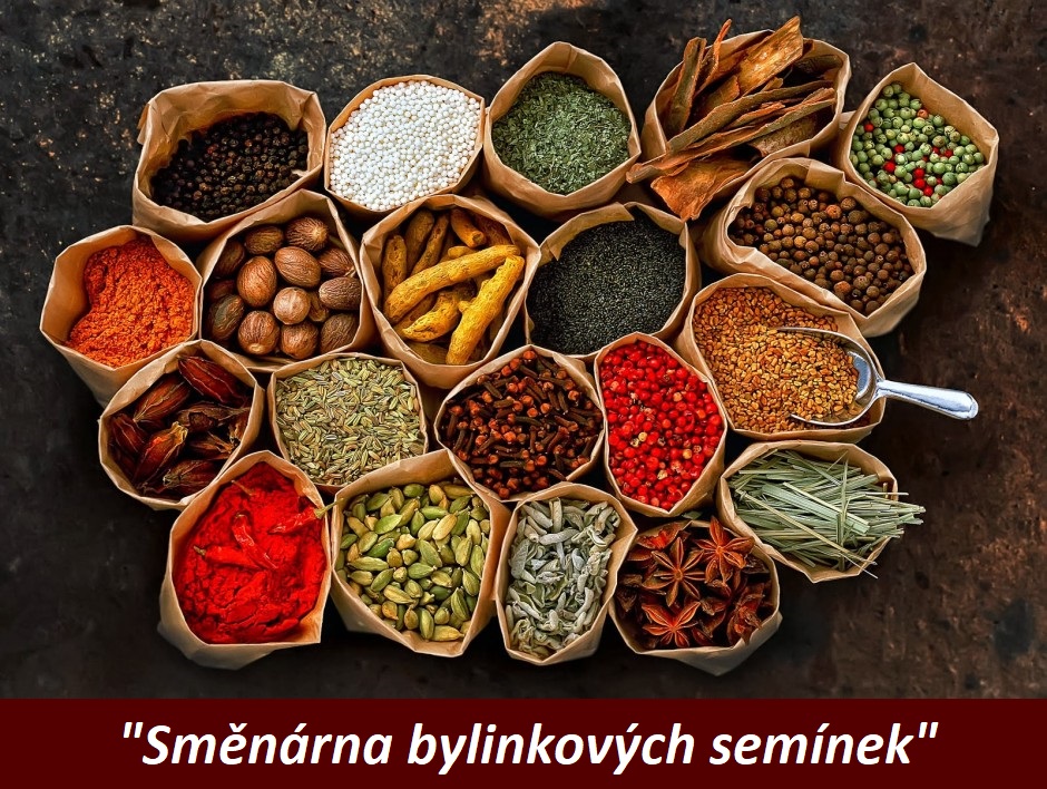 Semena, semínka bylinek na výměnu od Zbyňka Mlčocha