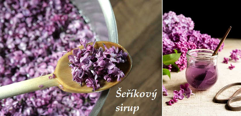 Šeříkový sirup - recept, příprava, postup, návod