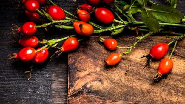 sipkovy sirup vyroba recept postup navod priprava suroviny ingredience slozeni