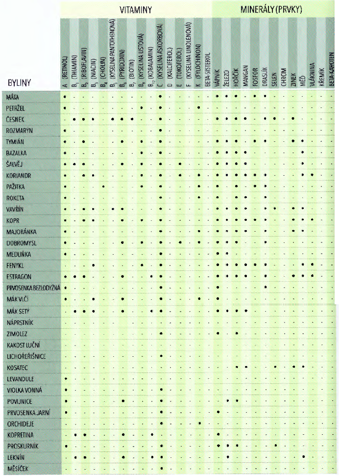 vitaminy mineraly byliny bylinky 2