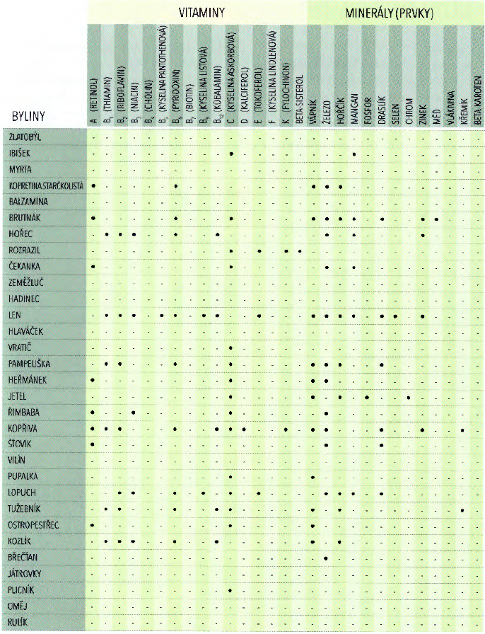 vitaminy mineraly byliny bylinky 2