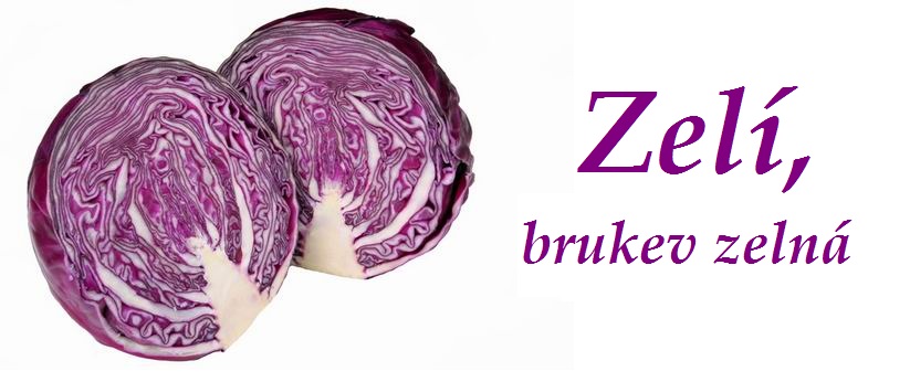 Zelí (brukev zelná) - účinky na zdraví, použití, užívání, využití, co léčí