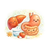 Trávicí systém a zuby