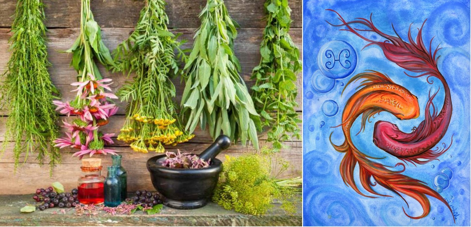 Byliny, bylinky a znamení horoskopu - RYBY (21.2. - 20.3.)