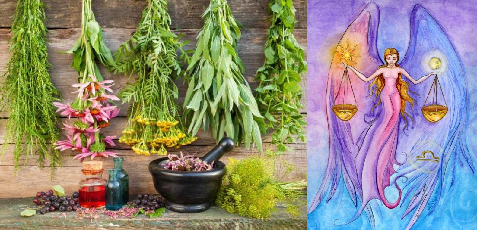 Byliny, bylinky a znamení horoskopu - VÁHY (23.9. - 23.10.)